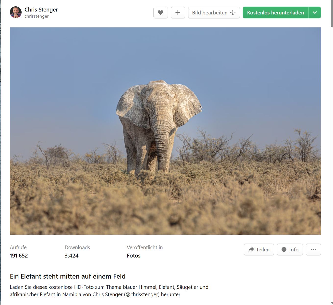 Elefant